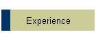 Experience