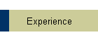 Experience